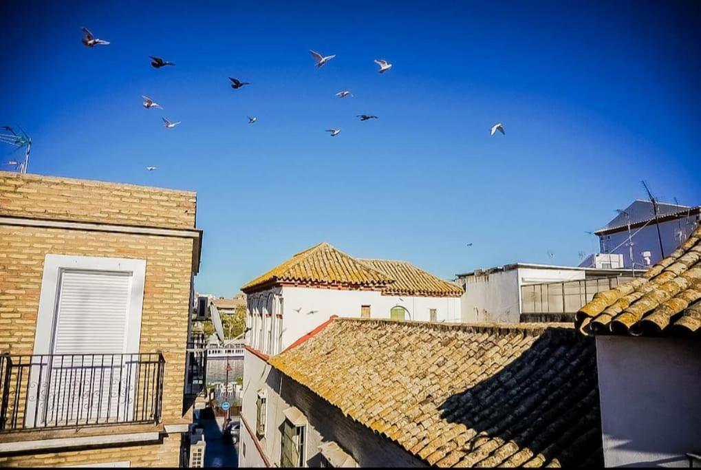 Appartamento Luminoso Apartamento Centro Triana Siviglia Esterno foto