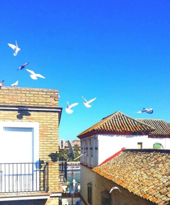 Appartamento Luminoso Apartamento Centro Triana Siviglia Esterno foto